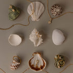 Pearl Diamond Cluster Studs in 18K Gold, along with other seashells accented with gold jewelry and pearls, are neatly arranged on a neutral background, capturing everyday elegance.