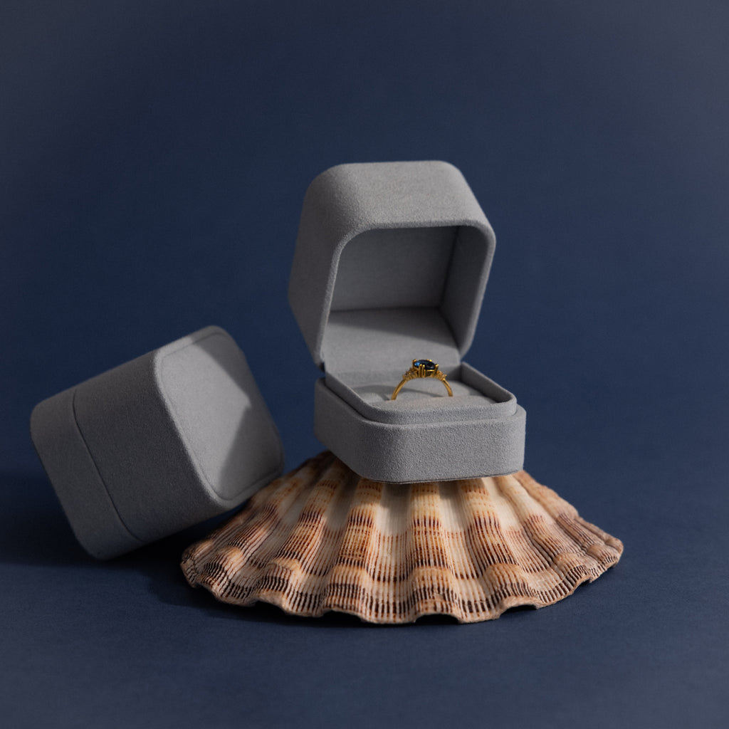 A minimalist gold ring sits in a blue suede ring box, which is placed on a striped seashell against a dark blue background.