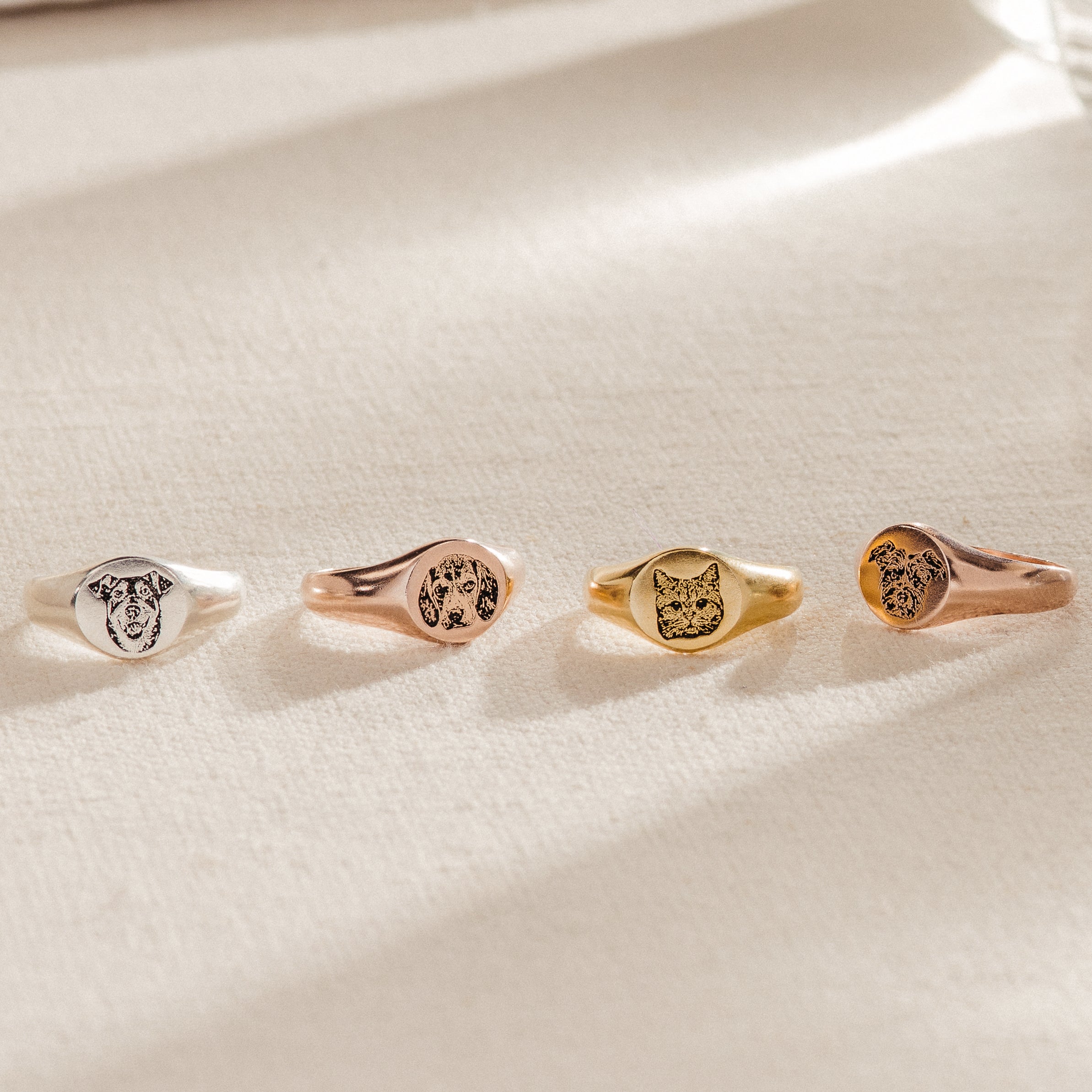 The Pet Signet Ring showcases four engraved rings with dog and cat faces on a textured surface—ideal as a custom pet ring or a heartfelt memorial pet gift.