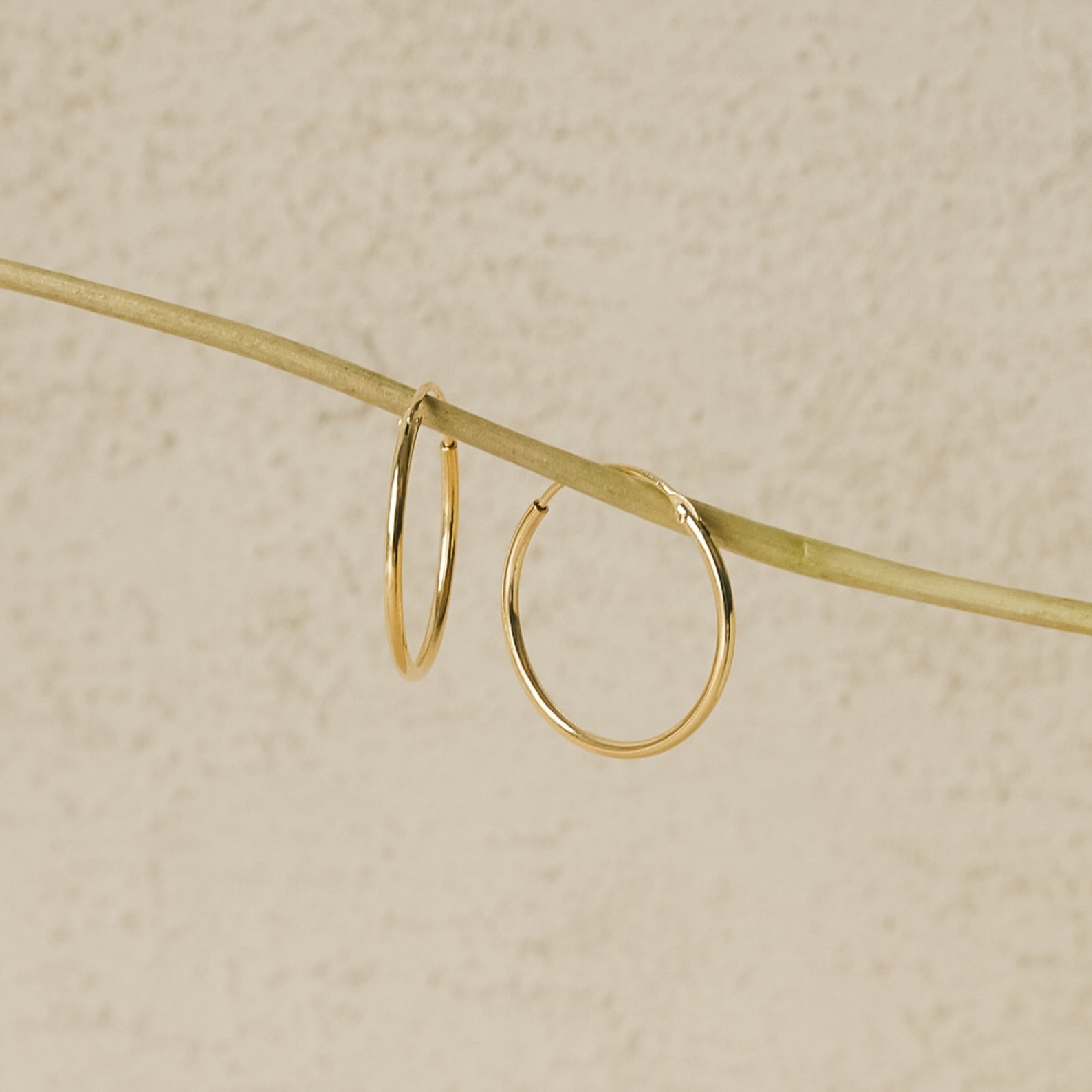 The Endless Thin Hoops, displayed on a slender pale branch with a textured beige background, are timeless gold earrings crafted to be the perfect everyday accessory.