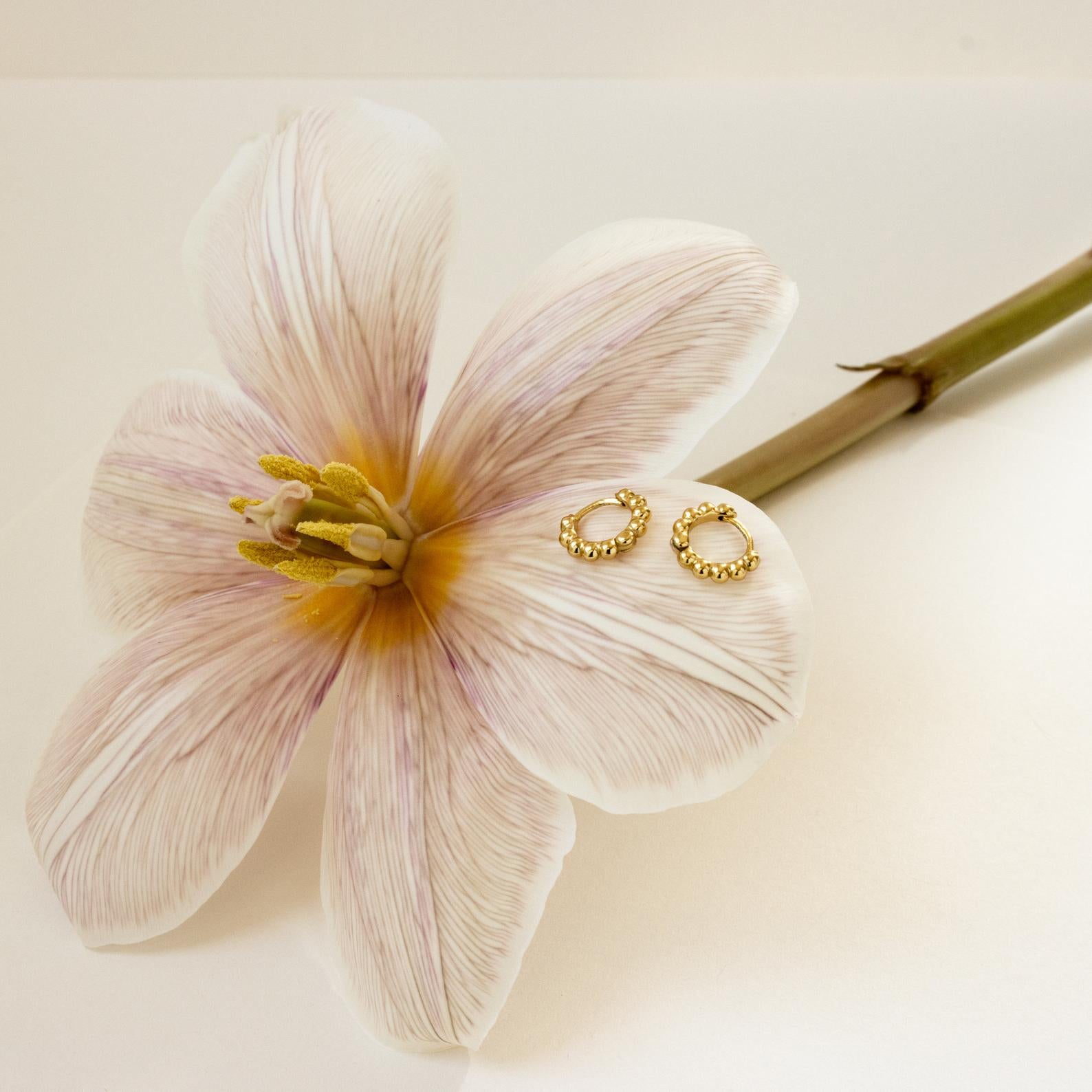 Dainty Sphere Beaded Huggies rest on a large pale pink flower with a long green stem, set against a white background.