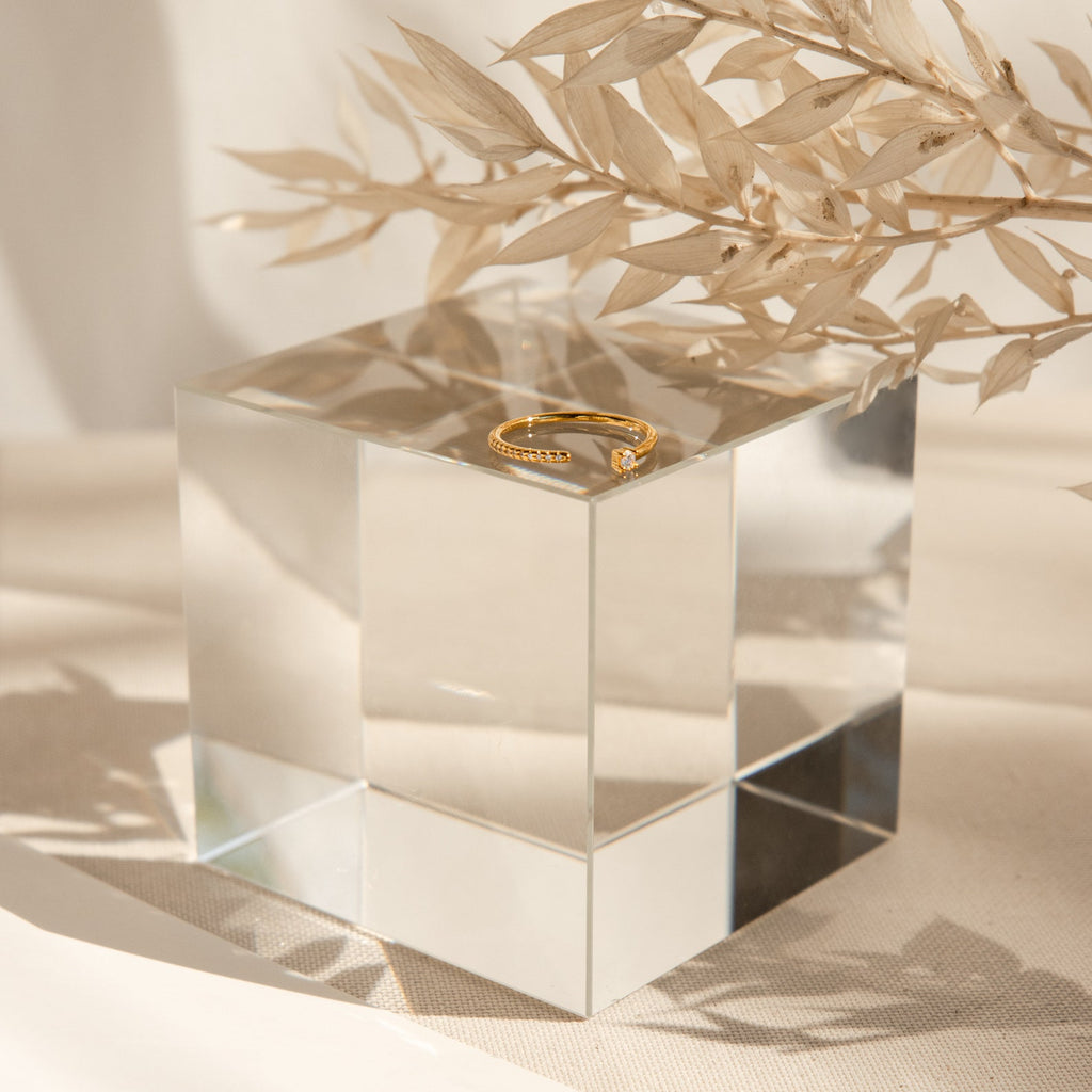 The Cecilia Pave Ring sits atop a clear glass cube next to beige dried leaves, illuminated by gentle natural light.