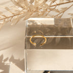The Cecilia Pave Ring, a gold open-style ring adorned with small stones, is displayed on a clear block with dried beige leaves in the background.