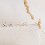 The Glacier Diamond Studs set includes two pairs of stud earrings—one silver and one gold with elegant baguette stones—displayed on a white stone beside a dried wheat stalk.