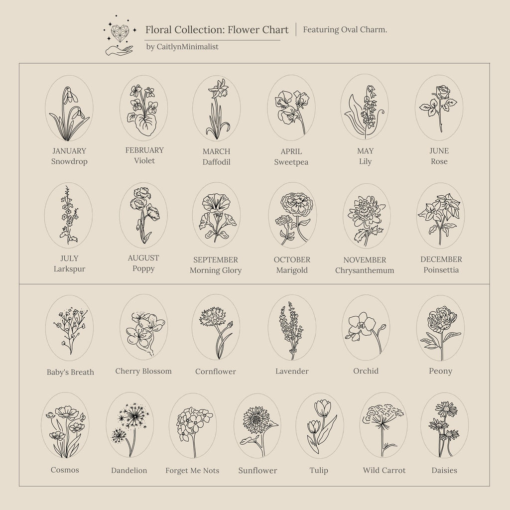 A minimalist floral chart displays flowers for each month plus extra blooms, all labeled—perfect inspiration for creating an Oval Flower Necklace or other unique flower jewelry.