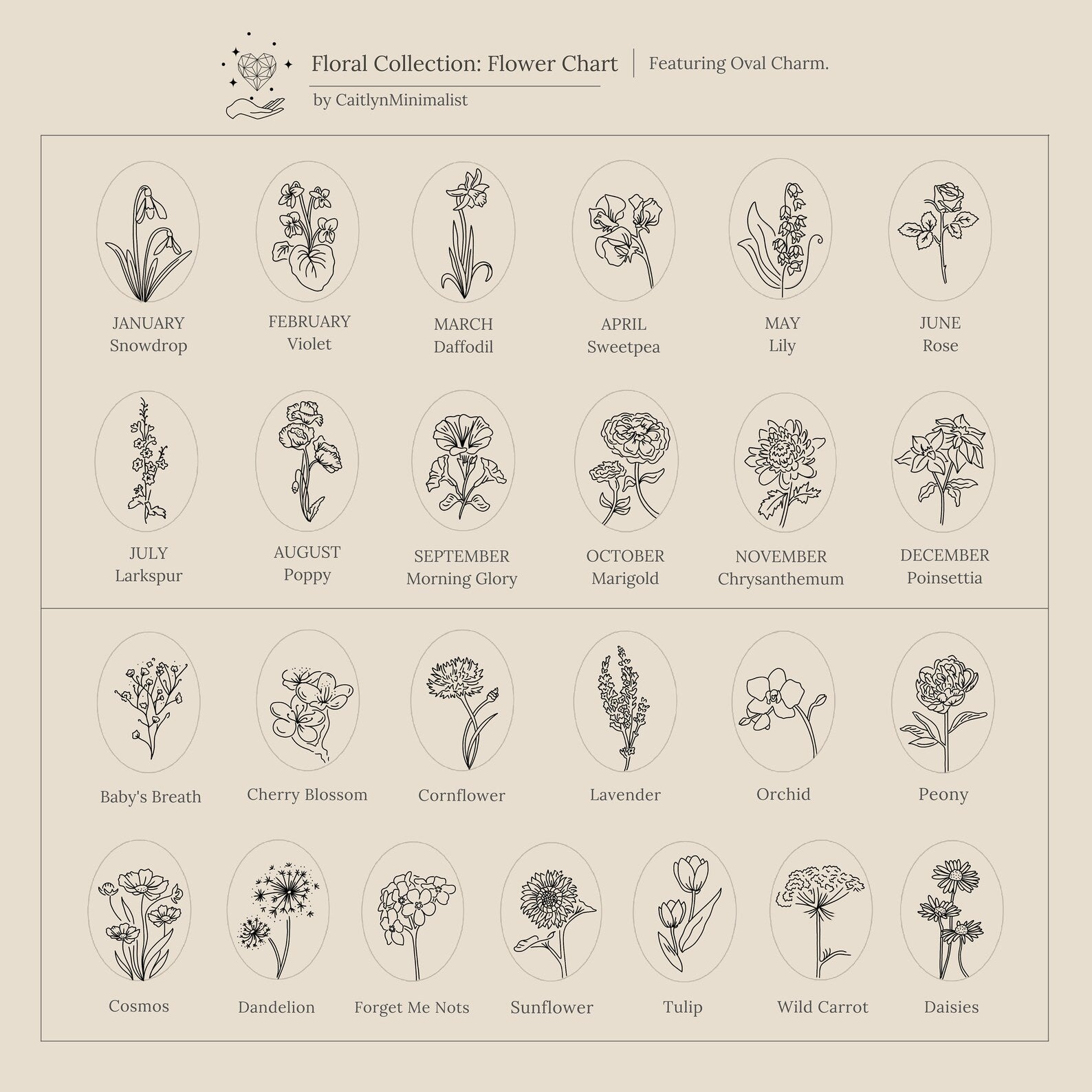 A minimalist floral chart displays flowers for each month plus extra blooms, all labeled—perfect inspiration for creating an Oval Flower Necklace or other unique flower jewelry.