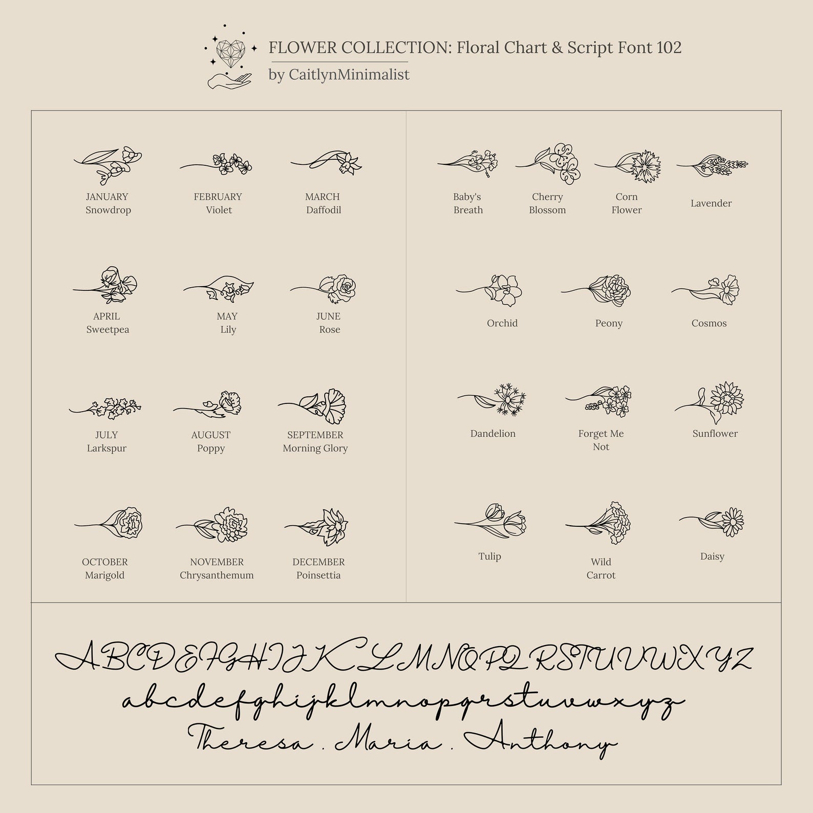 A floral chart pairing each month with its flower, plus script and serif font samples—perfect for inspiring your custom Flower Name Ring or other personalized jewelry, making it an ideal gift for mom.