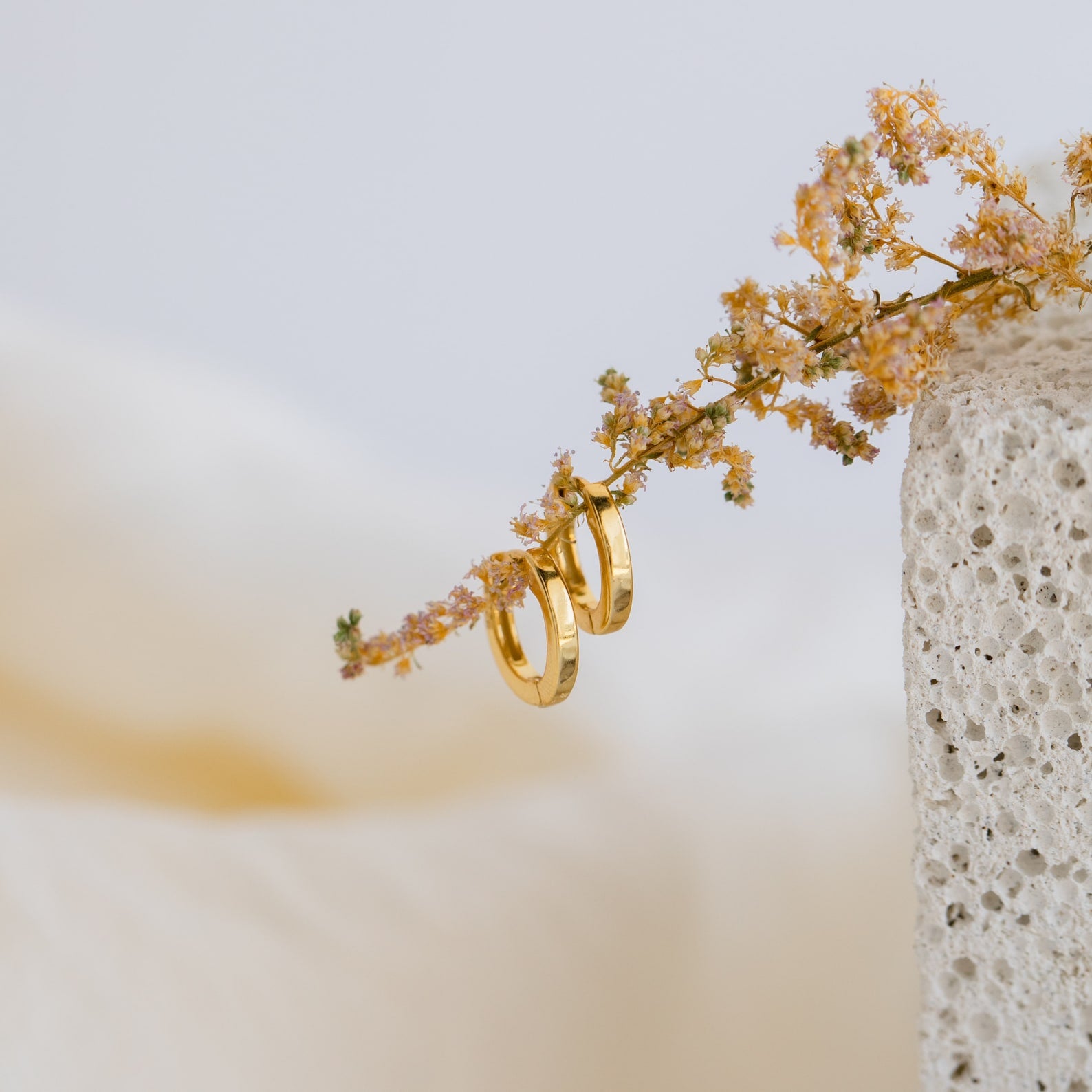 The Editor III Huggies, gold hoop earrings, hang delicately on a dried flower beside a textured stone, showcasing minimalist jewelry elegance.