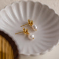 Knot Pearl Drop Earrings in 18K Gold featuring dangling pearls and a Celtic knot design, displayed on a white scalloped dish—perfect for fans of elegant, minimalist style.