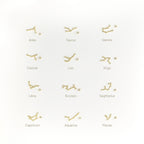 Twelve gold Constellation Earrings are arranged in a 4x3 grid, each beautifully labeled with its astrological zodiac sign.