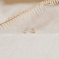 The Blair Baguette Diamond Drop Studs, elegant gold earrings with sparkling diamonds, are showcased on a white surface with a dried fern in the background.