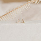 The Blair Baguette Diamond Drop Studs, elegant gold earrings with sparkling diamonds, are showcased on a white surface with a dried fern in the background.