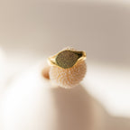 The Fingerprint Signet Ring, featuring a gold finish, is displayed on a textured white surface under soft natural light—an elegant piece of memorial jewelry.