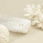 Mini Lily Studs in Sterling Silver are displayed on a white crystal, with coral and a shell in the background—perfect for everyday wear or adding sparkle to cartilage piercings.