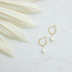 Margot Pearl Hoops, featuring gold hoops with drop pearl accents, are displayed on a light surface beside pale dried palm leaves.