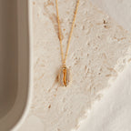 Gold cowrie shell pendant necklace with pave crystal detailing, hanging from a delicate beaded chain. displayed on a textured beige stone surface.