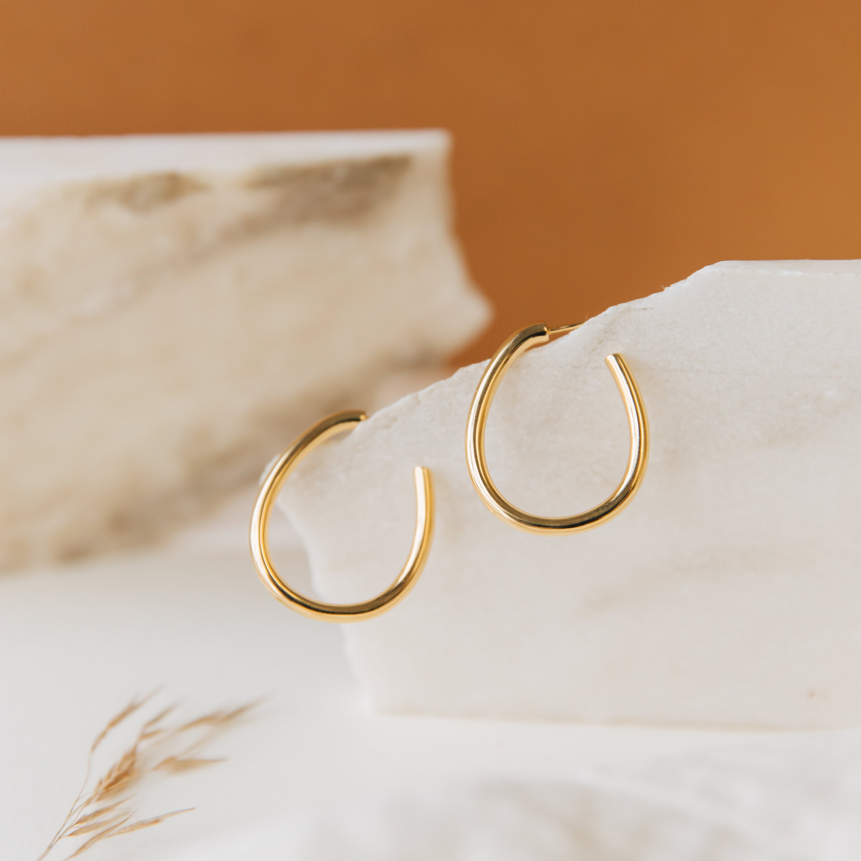 Anine Oval Hoops showcased on white stone, set against a warm brown backdrop with dried grass accents.
